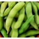 Edamame 1pkt/500g