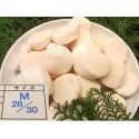 Nama Hotate S (31-35) 1kg