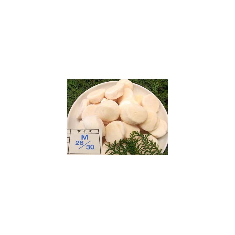 Nama Hotate S (31-35) 1kg
