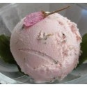 LOTTE VARIETY SAKURA ICE